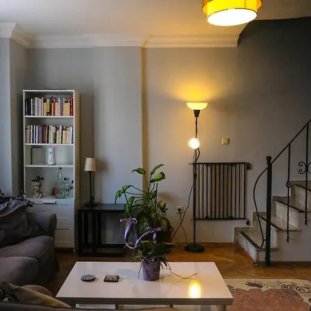Apartment Private In Dublex House, Central Location Istanbul