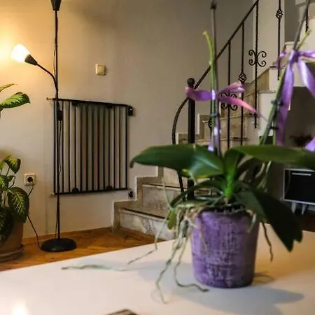 Private In Dublex House, Central Location * Istanbul